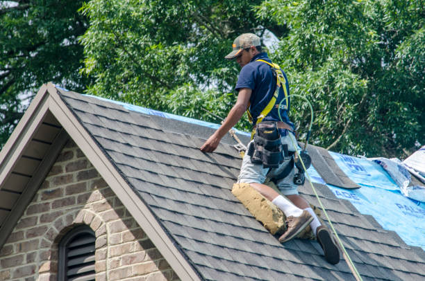 Best Storm Damage Roof Repair  in Hillsborough, NJ